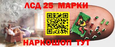 хмурый Кудрово