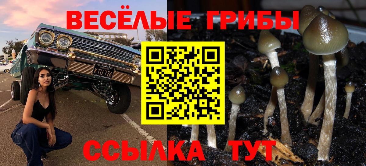 Галлюциногенные грибы MAGIC MUSHROOMS Вольск