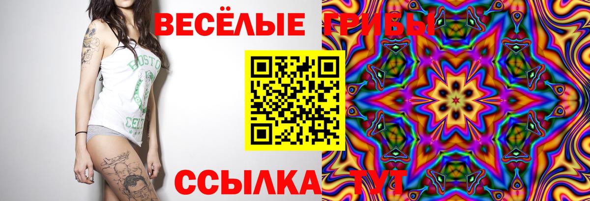 Вольск  Псилоцибиновые грибы Magic Shrooms  Вход с VPN 